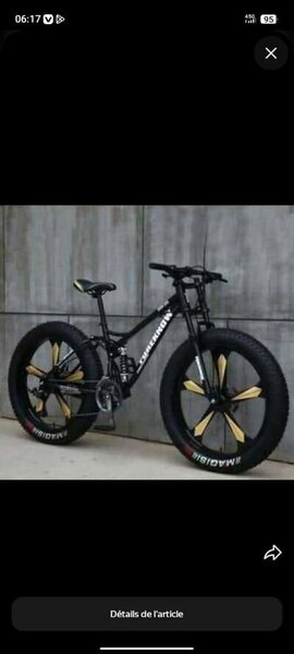 Vélo Fat Bike Tout-Terrain