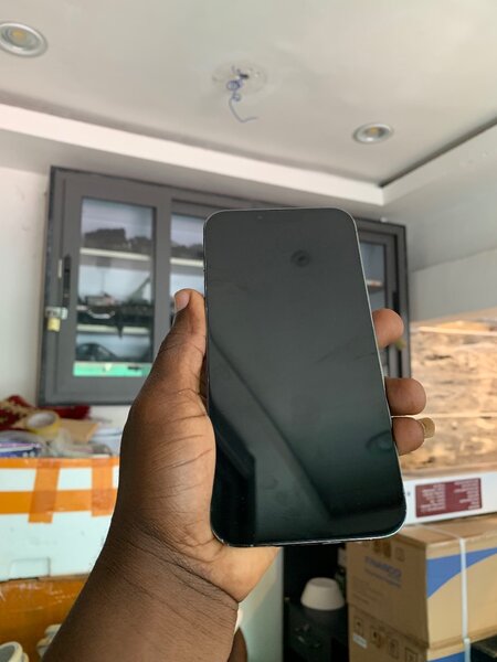 iPhone 13 Pro Max