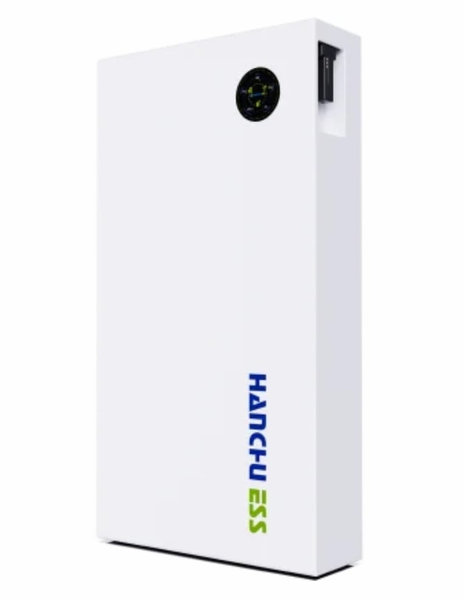 Payslow Option