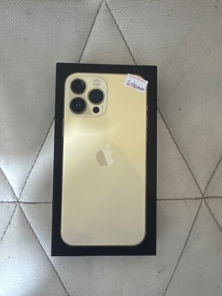 13 pro max