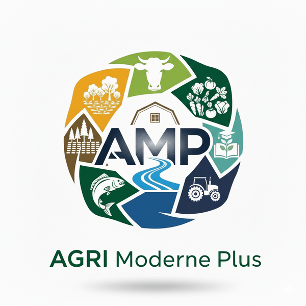 AMP groupe 