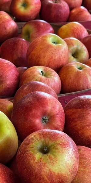 Red Apples