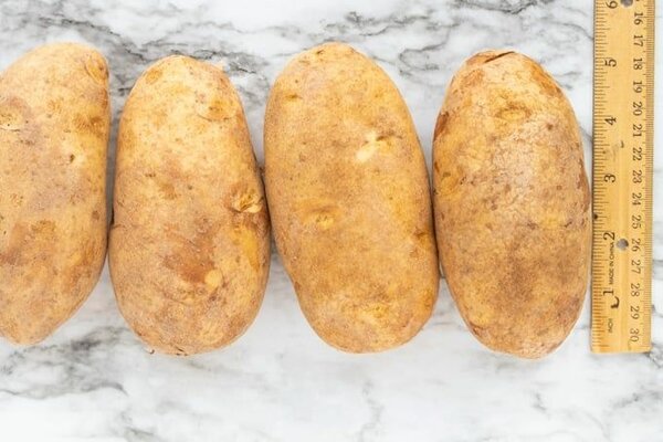 POTATOES 10KG