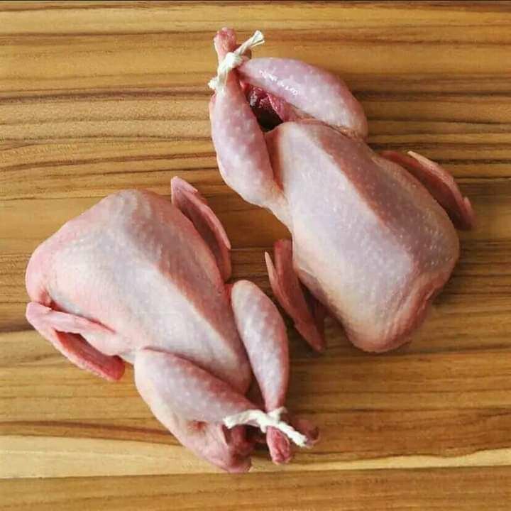 Caille prêt à cuisiner