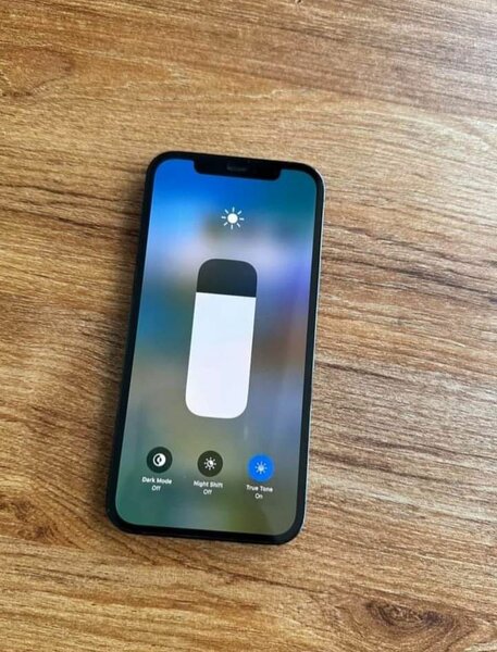 iPhone 12 Pro Max 256 Go