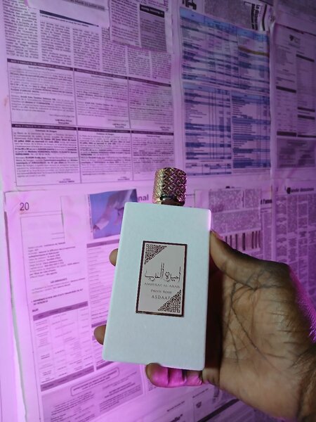 Amerat Al Arab Rose