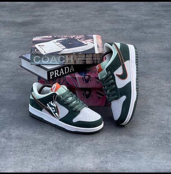 Nike sb dunk