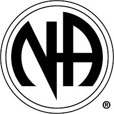 NOOREAMNA SURGICALs