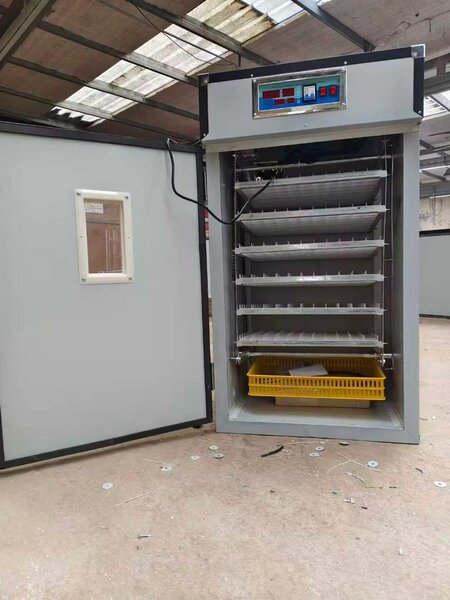 Grand Incubateur Automatique