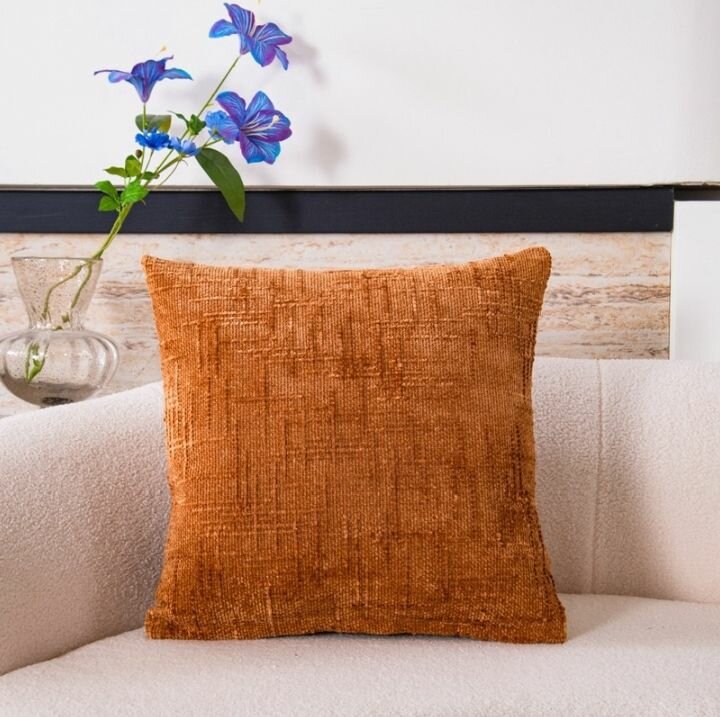 Coussin décoratif en velours