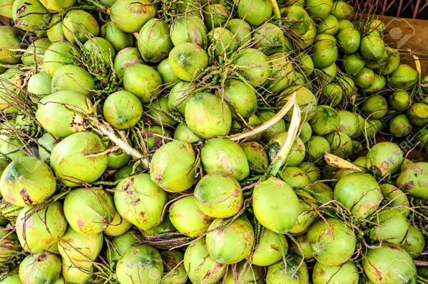 Coco frais