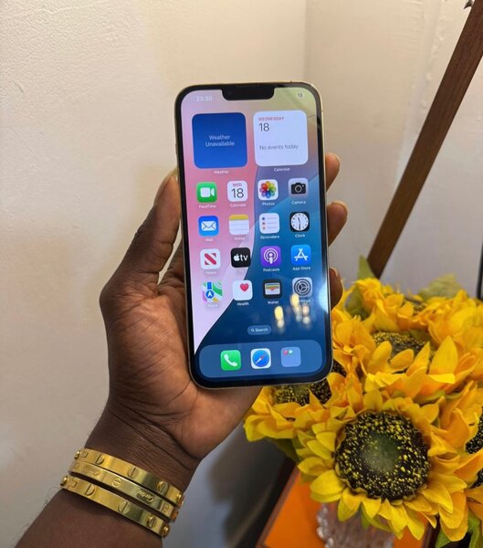 iPhone 13 Pro Max