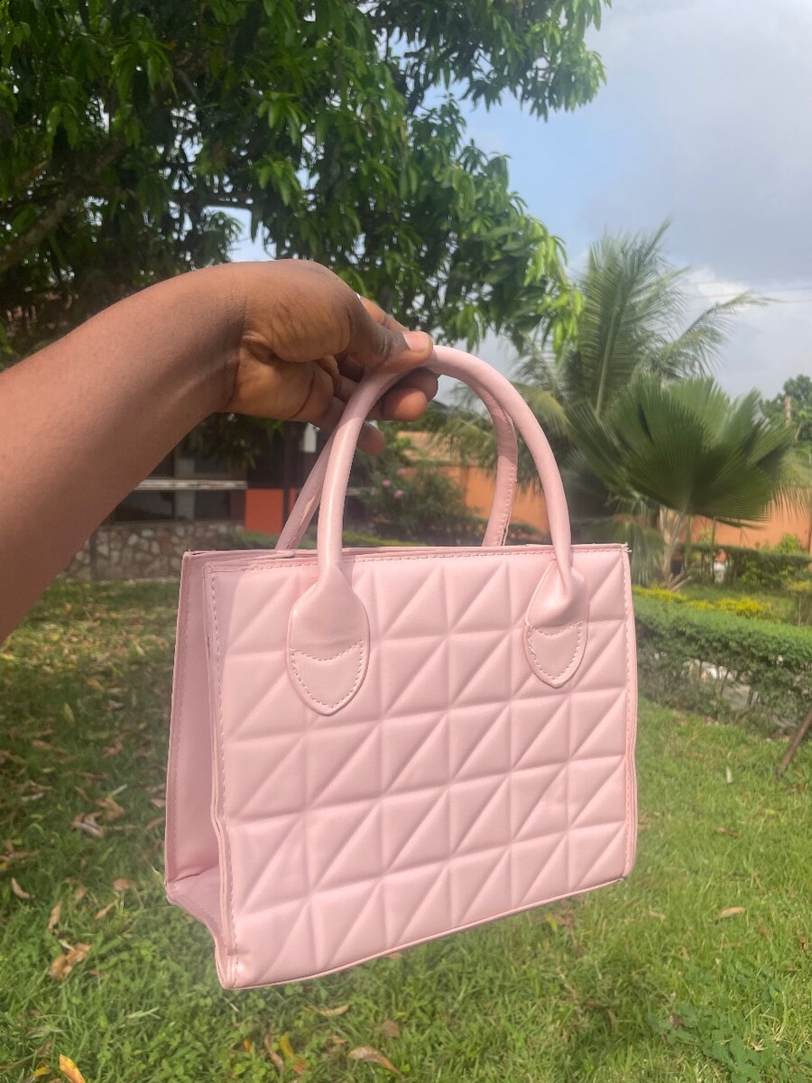 Ladies handbag