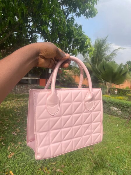 Ladies handbag