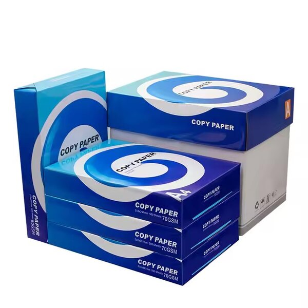 Carton De Rame Papier Authentik Copy Paper - 5 Ramettes Form