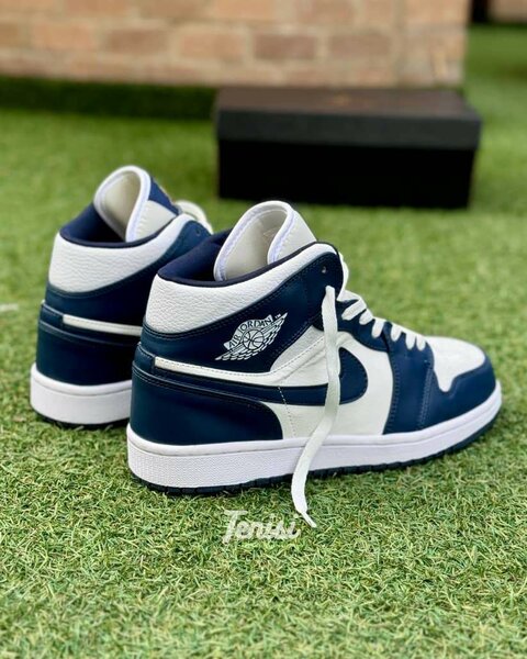 Nike Jordan 1 montante