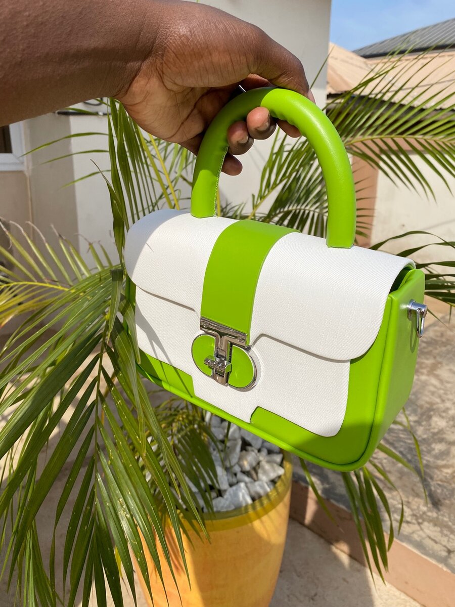 Luxury ladies bag