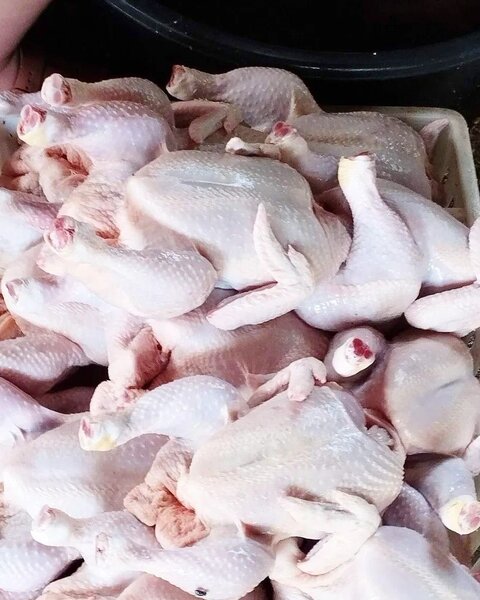 Poulet frais et mariné