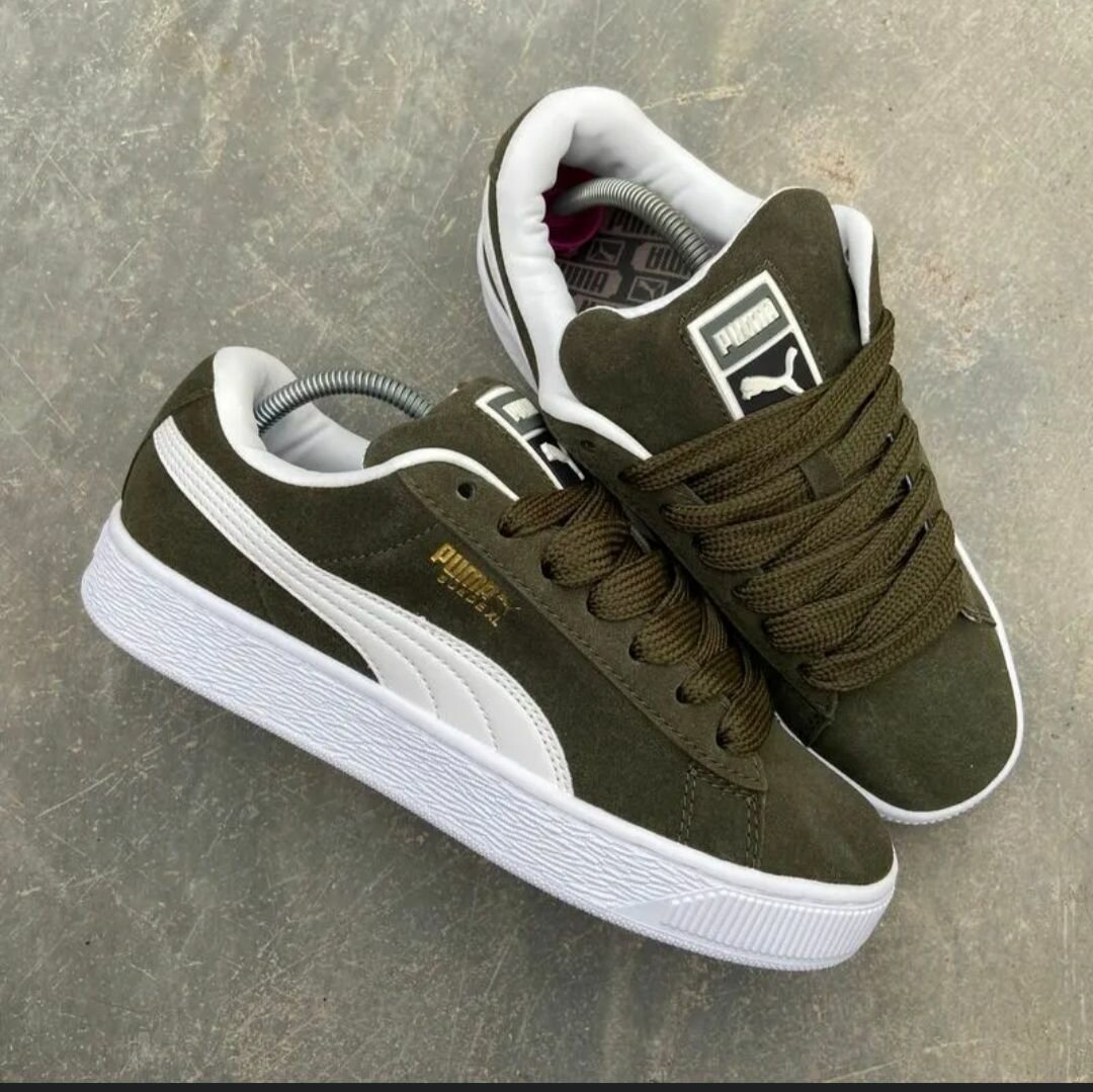 Magnifique puma