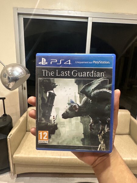 The Last Guardian PS4 Game