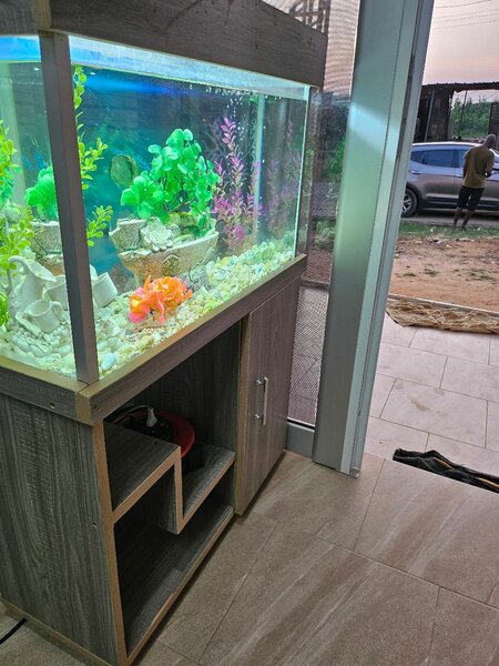 Aquarium