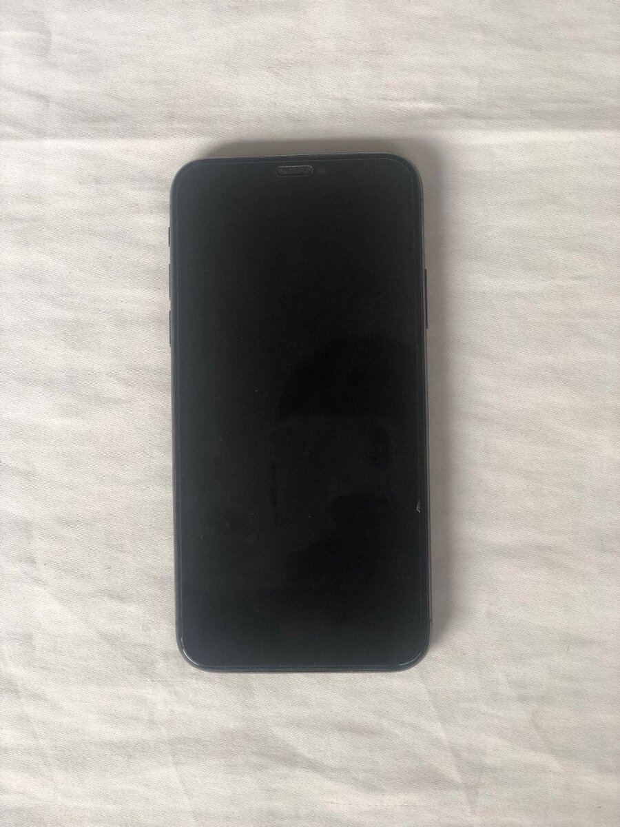 iPhone X 256 Go