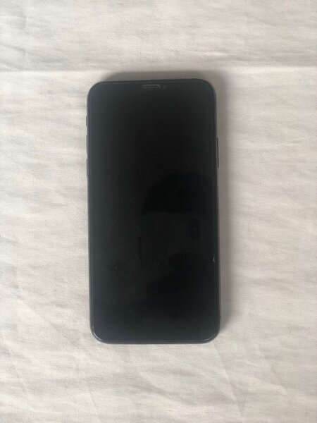 iPhone X 256 Go