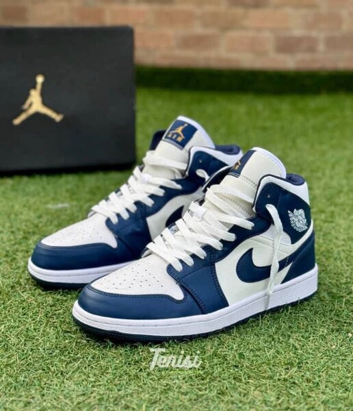 Nike dunk