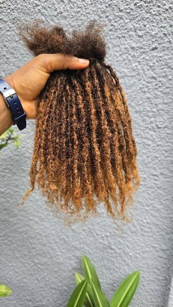 Dreadlocks sisterlocks