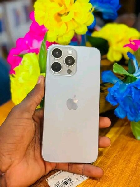 iPhone dernière génération argent