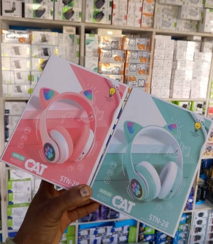 Cat headphone