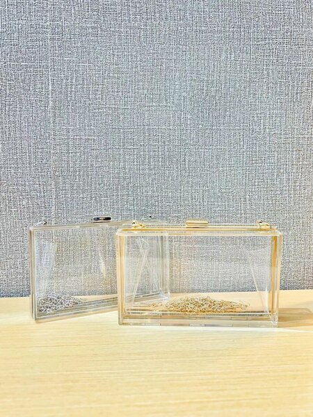 Golden/Silver Purse