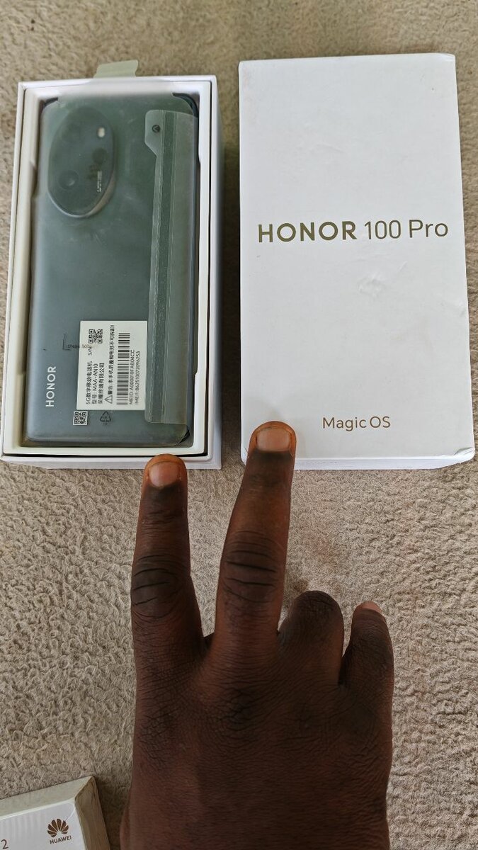 Honor 100 Pro