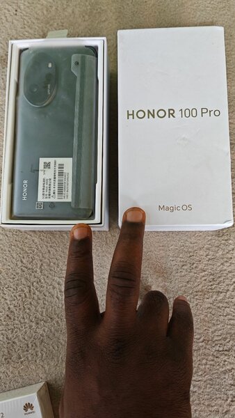 Honor 100 Pro
