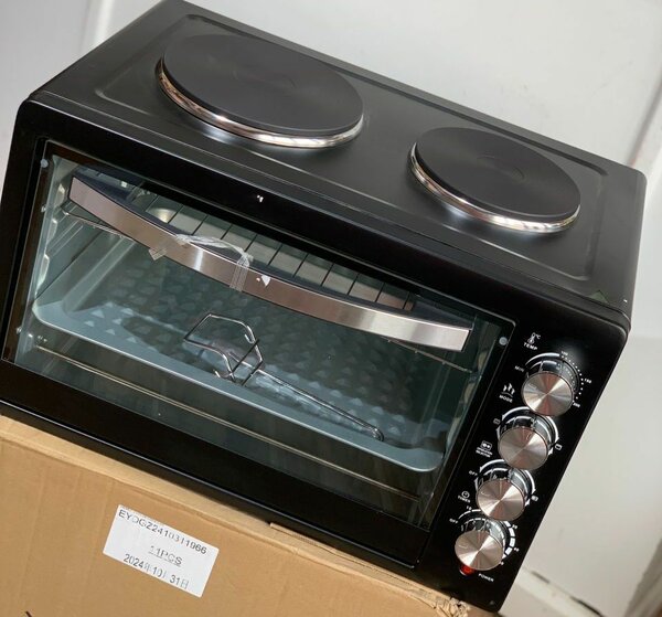 Electric oven with burner