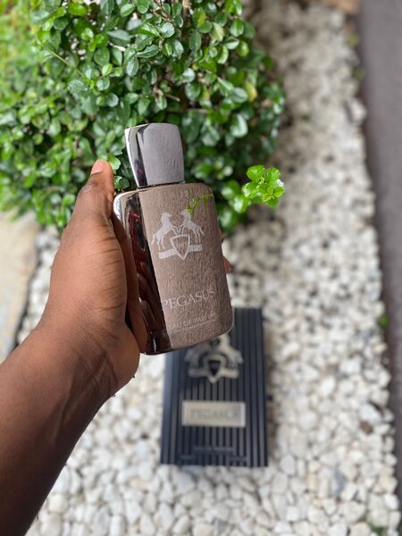 Parfum pegasus
