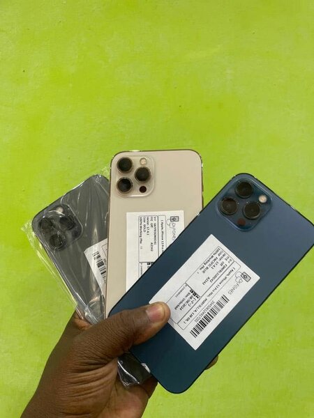iPhone 12 pro max