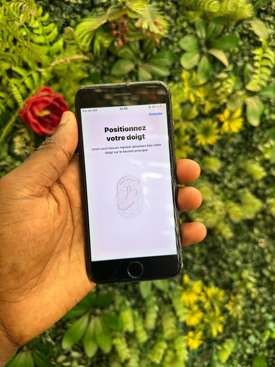 iPhone 7 simple