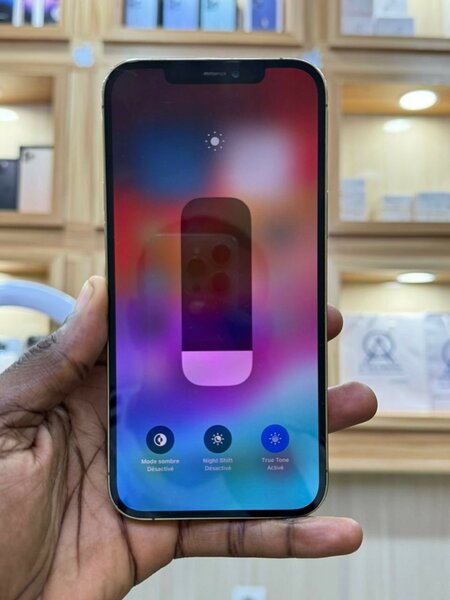 IPhone 12 Pro Max