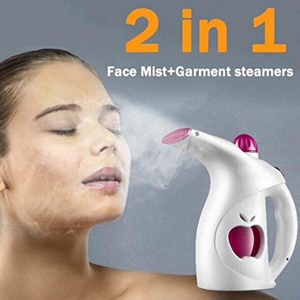 2 in 1 Steamer Iron