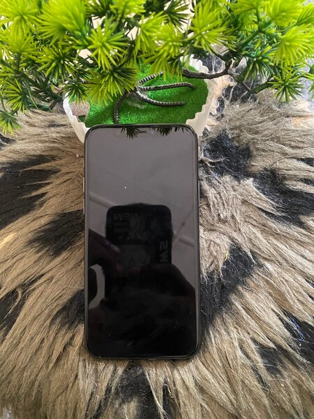 IPHONE 11 pro