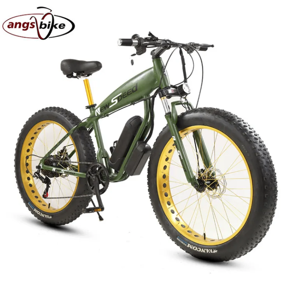Vélo électrique