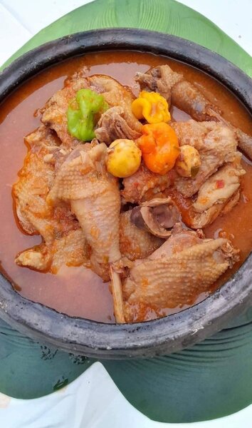 Soupe de poulet pondeuse