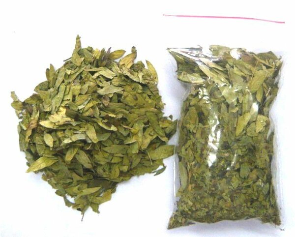 Plante séné sec