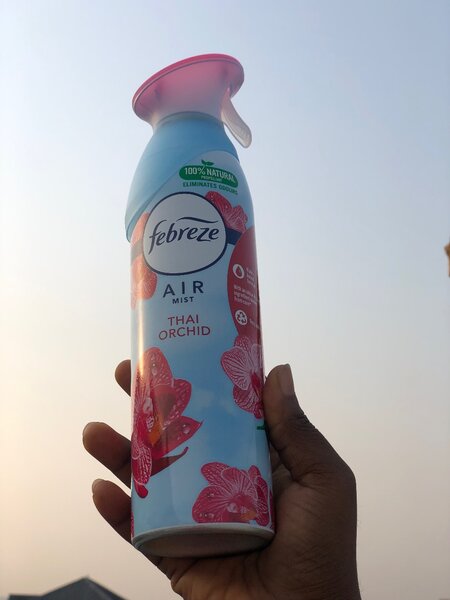 Air freshener