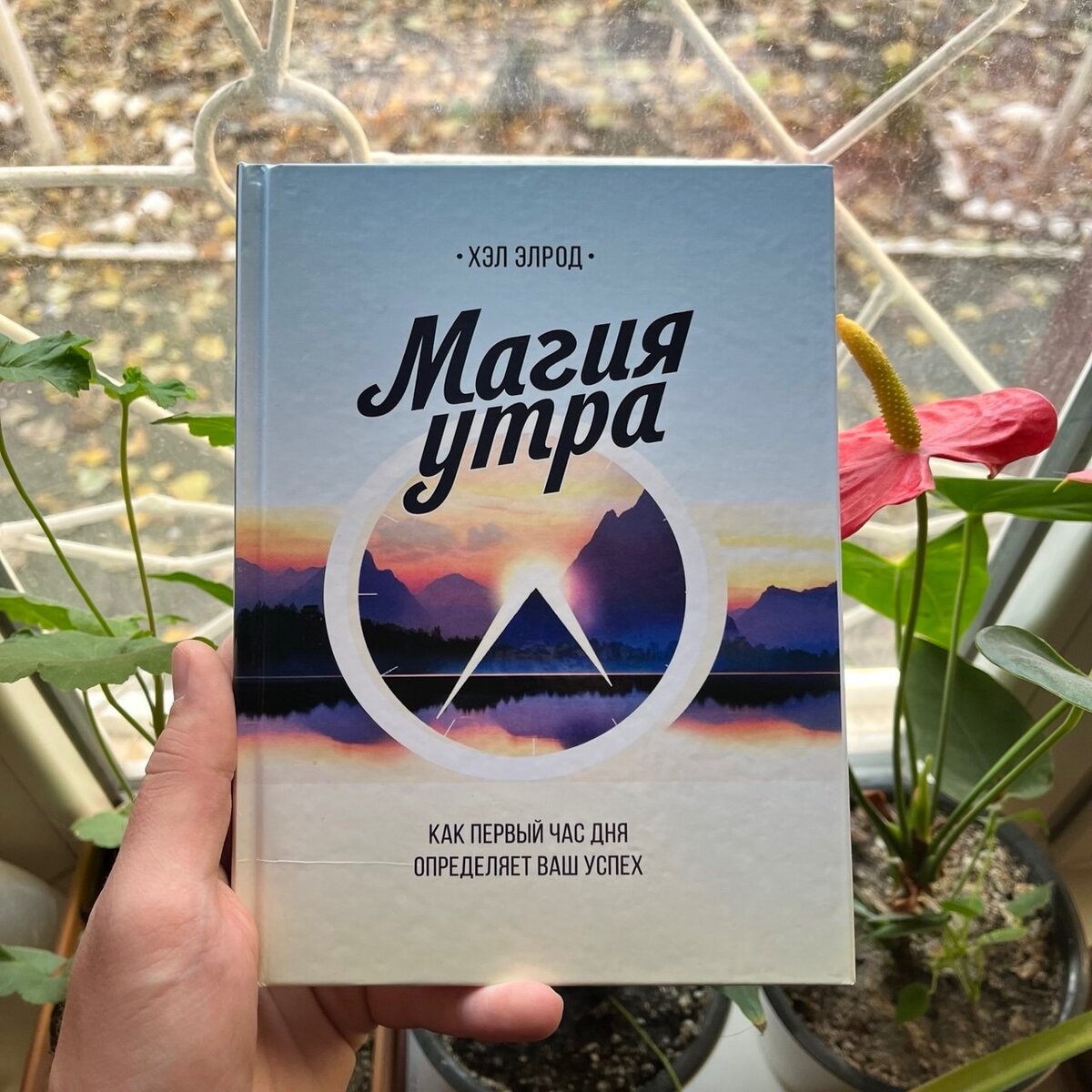 Магия утра
