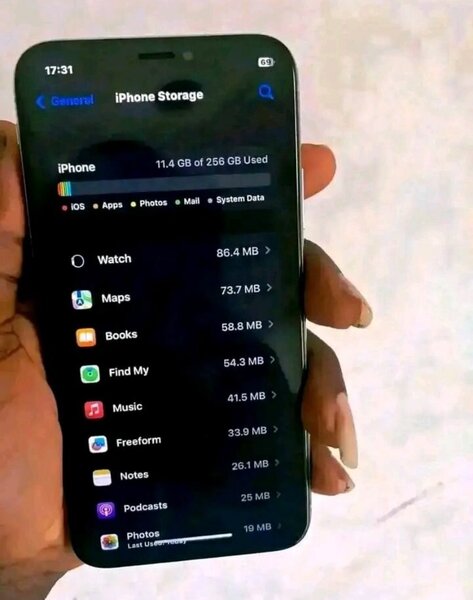 iPhone xs max