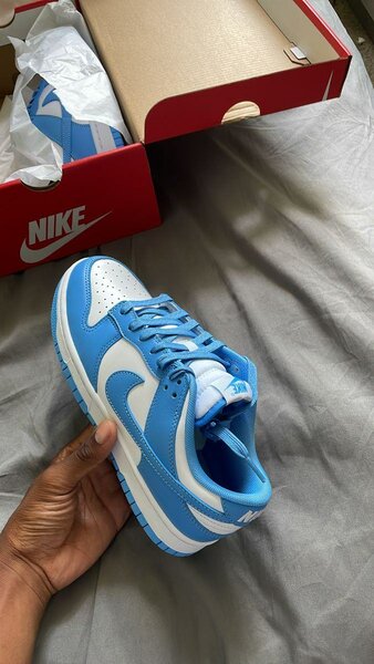 Nike Dunk Low Classiques