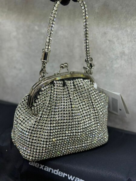 Alexander wang