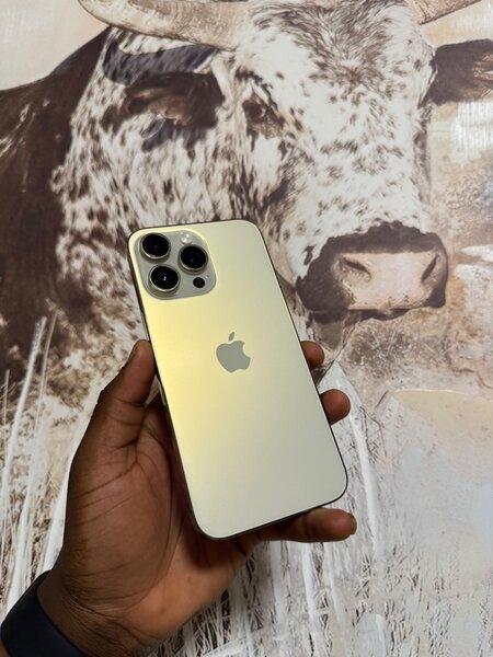 iPhone 14pro max